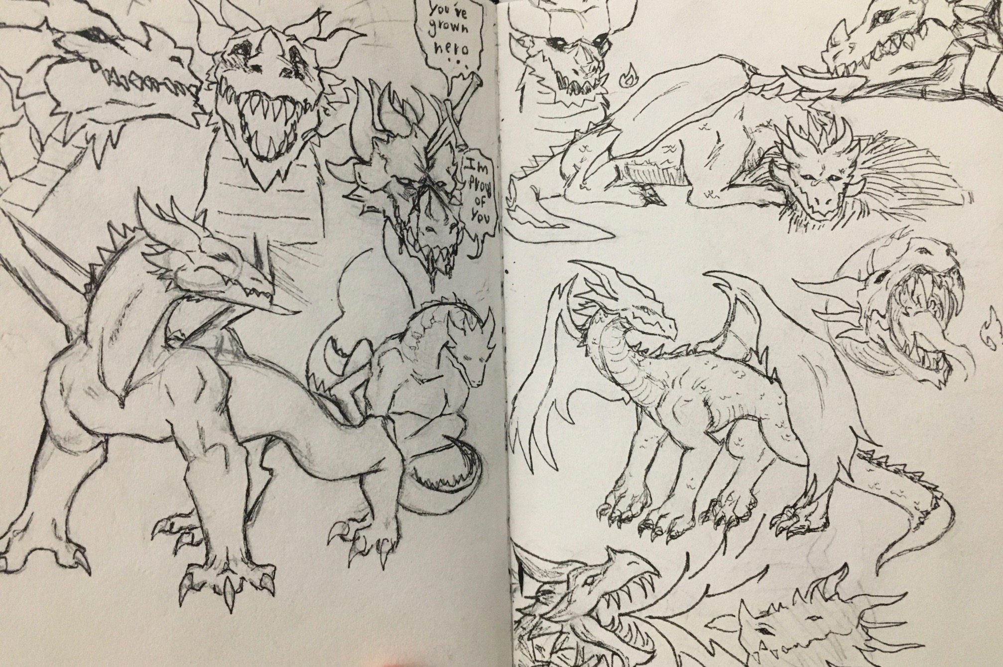 Portrait de Consommation